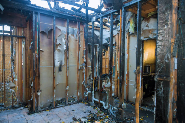 Professional Fire Damage Removal technician working in Ray City, GA